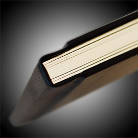 wedding album pages with silver gilding