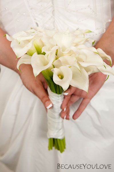 Wedding Photography in Downingtown Pennsylvania
