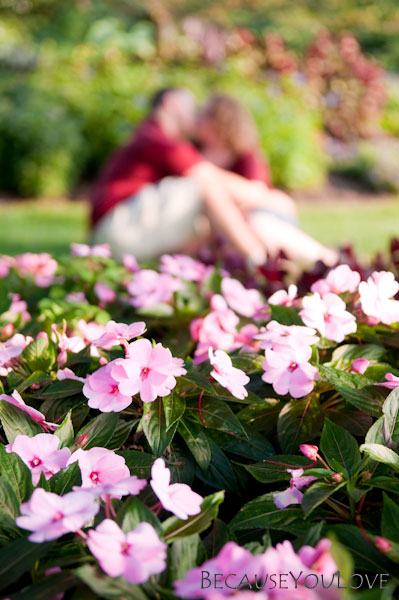 Wedding Engagement Session in Bucks County Pennsylvania