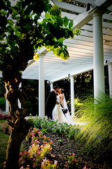 formal portrait of bride and groom under a canopy