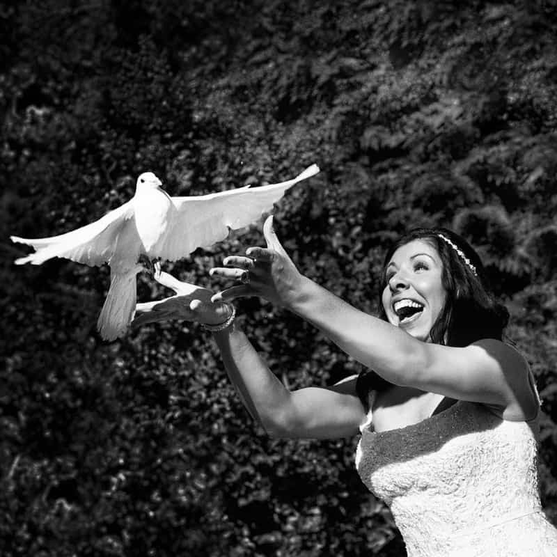 wedding dove release